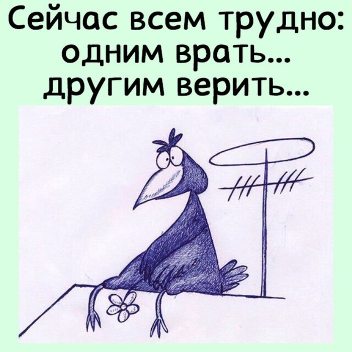   (700x700, 86Kb)