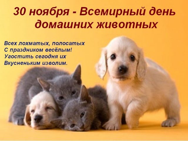 image-22-640x480 (640x480, 44Kb)