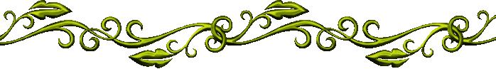 okk0 (700x97, 17Kb)