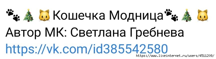 Screenshot_2022-12-15-15-59-04-133_com.vkontakte.android (700x193, 81Kb)
