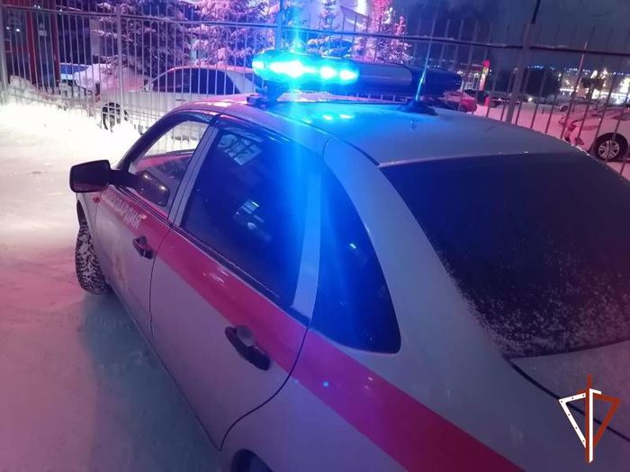 7290319_Rosgvardiya_po_goryachim_sledam_zaderjala_grabitelya_Ugre (700x525, 51Kb)