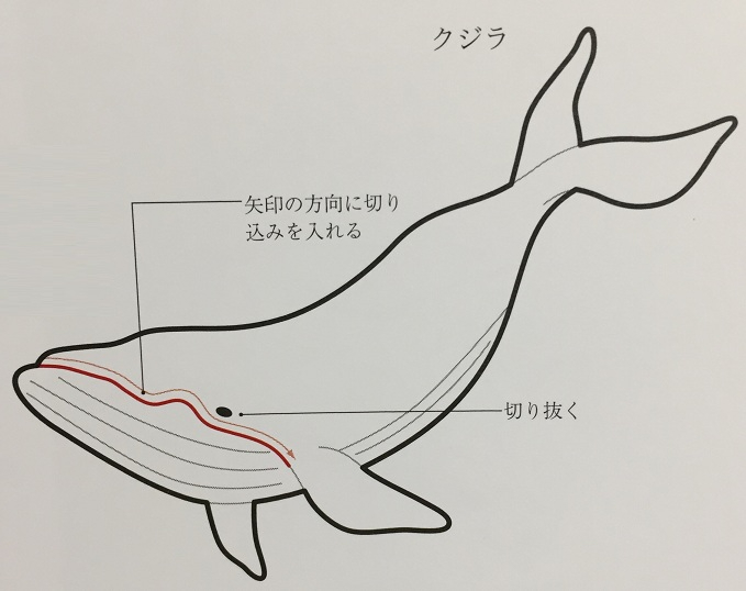 Акула и рыбка с вышивкой и вязаными фрагментами (7) (679x538, 136Kb)