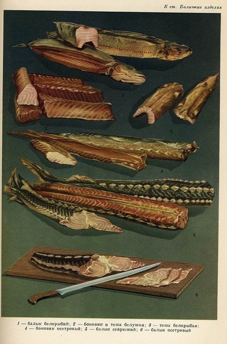балыки (462x700, 112Kb)