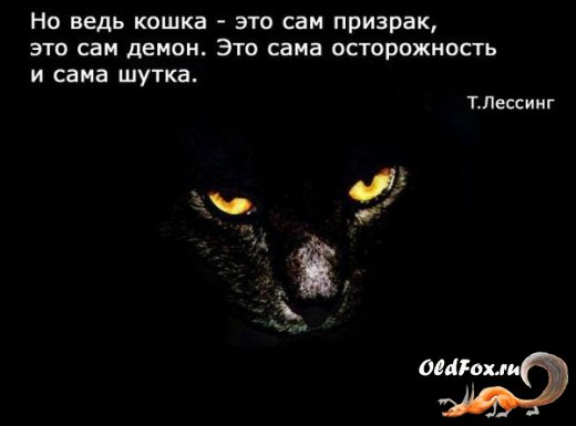 1278179899_006 (520x385, 23Kb)