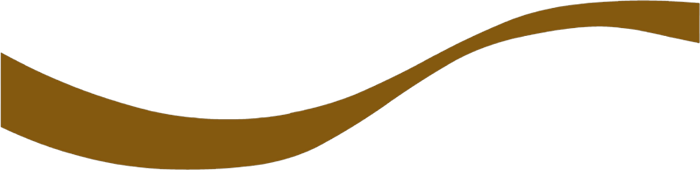zig2 (700x170, 21Kb)