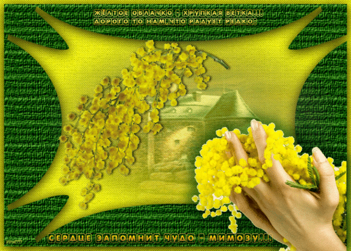 МИМОЗА 3 (700x500, 1646Kb)