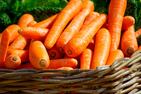 carrots (600x400, 256Kb)