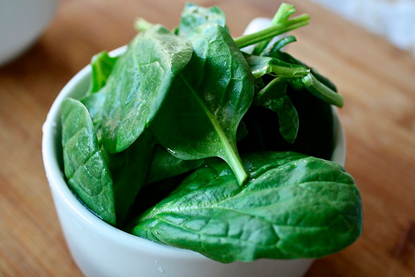 spinach (600x400, 147Kb)