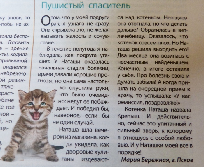 3404189_IMG_20230228_120308 (700x575, 326Kb)