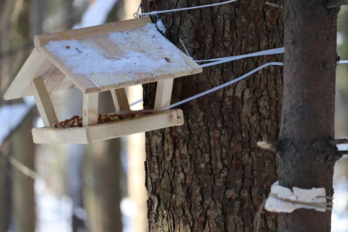 IMG_8323 (699x466, 199Kb)