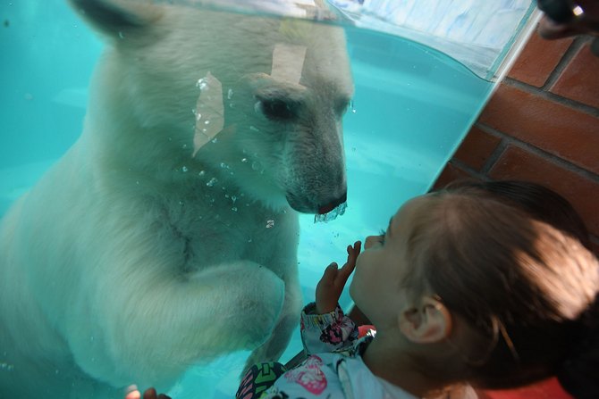 3109898_avg_melved_zoo (670x447, 55Kb)