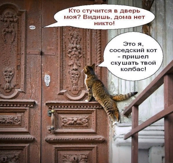 Видишь в домашних условиях. Кот стучится в дверь. Котики Постучись в дверь. Дверь для кота. Котики ломятся в дверь.