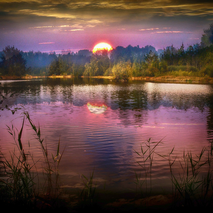 2ea083765726 (700x700, 207Kb)