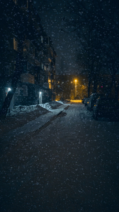 20221224 22104571 (32) (393x700, 299Kb)