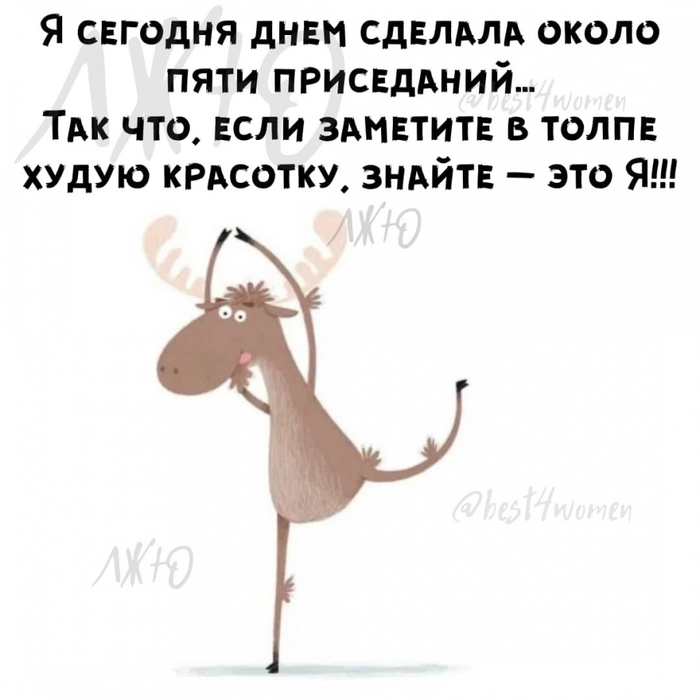 3416556_Zs1kFapJhZ0 (700x700, 177Kb)