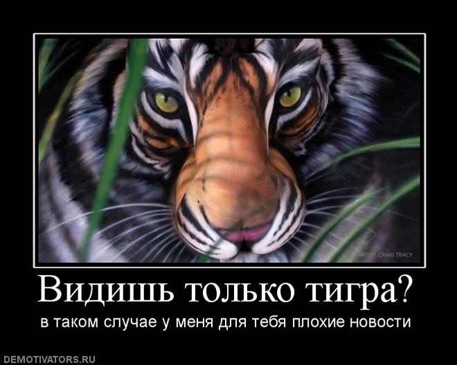 96210507-----vidis-_tigra-vpr- (660x527, 49Kb)