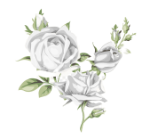 pngtree-silver-rose-romantic-valentines-day-valentines-day-wedding-png-image_3784510-transformed (160x156, 19Kb)