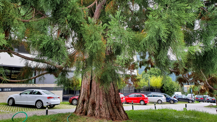 20210827_135443 (700x393, 506Kb)