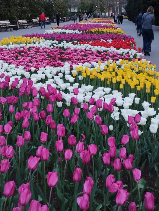 изображение_viber_2023-04-17_21-21-52-996 (527x700, 479Kb)