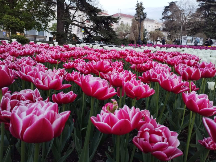 изображение_viber_2023-04-17_21-21-53-059 (700x527, 467Kb)