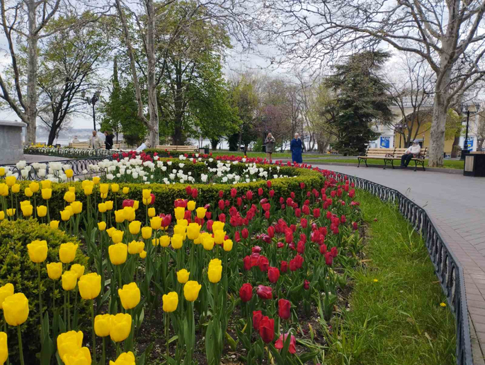 изображение_viber_2023-04-18_15-33-07-542 (700x527, 516Kb)