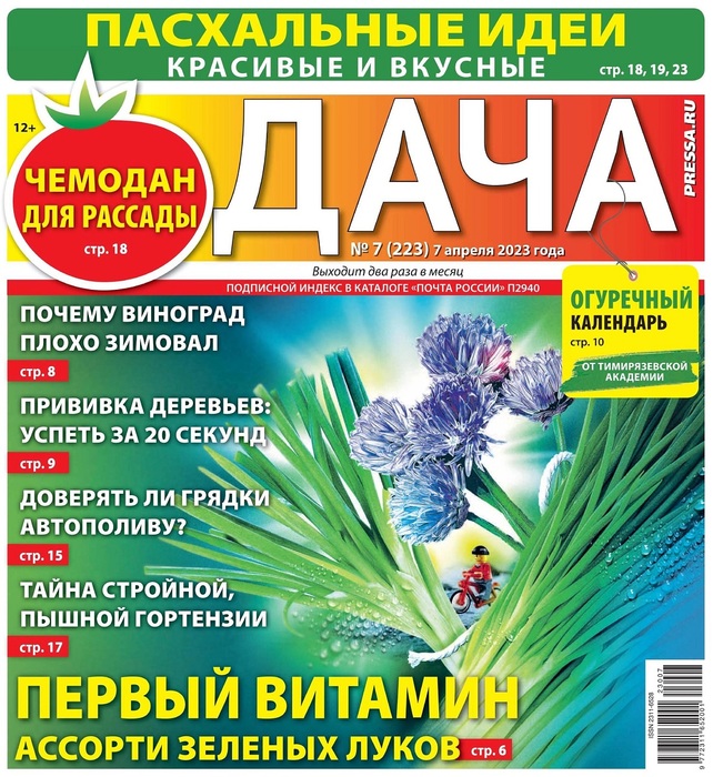 Как вписать в общую концепцию сада берёзы, растущие на участке? - ответы экспертов территория-исцеления.рф