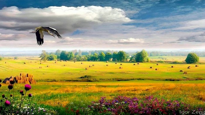 1280x720-v2g (700x393, 93Kb)
