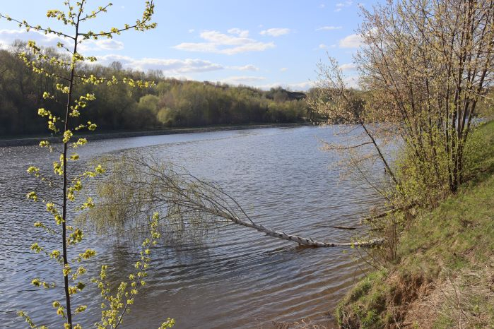 IMG_0530 (699x466, 301Kb)