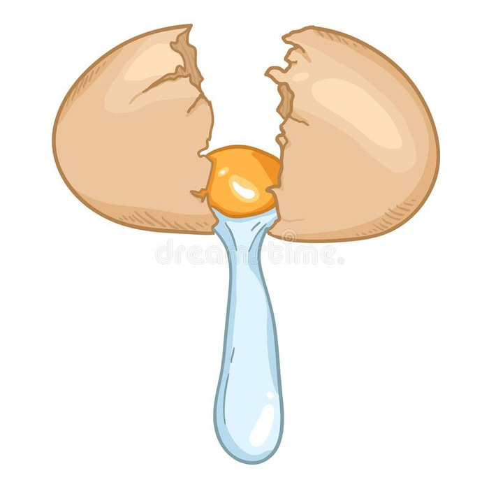 разбитое-яйцо-с-коричневыми-раковиной-и-желтком-иллюстрация-174449503 (700x700, 129Kb)