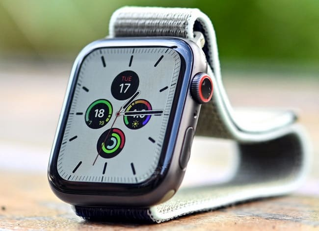 Apple Watch 5 (650x471, 172Kb)