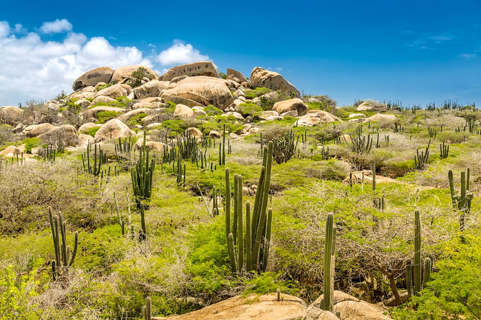 Aruba-Ayo-Rock-formation (700x466, 490Kb)