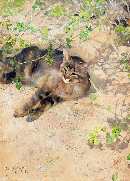 Дикий кот 1886 (502x700, 498Kb)