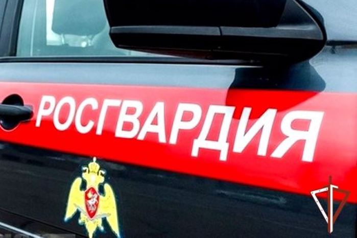 7290319_V_Ugre_Rosgvardiya_zaderjala_zloymishlennika_podozrevaemogo_v_tyajkom_prestyplenii (700x466, 38Kb)