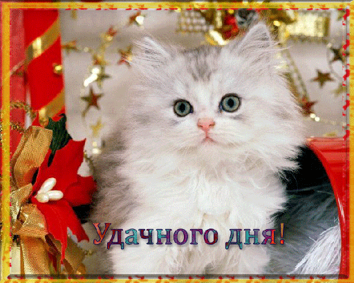 Удачного дня! (512x410, 200Kb)
