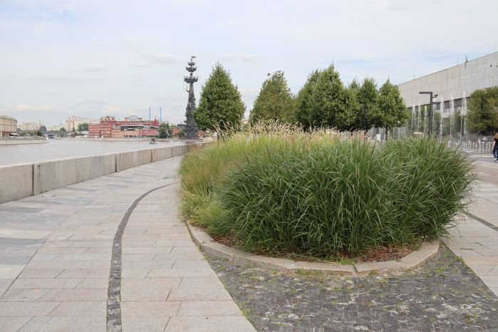 IMG_6678 (699x466, 199Kb)