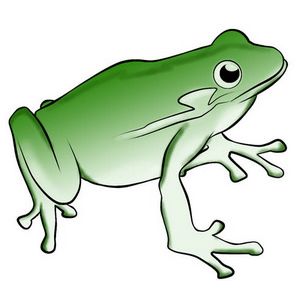 frog15 (300x300, 12Kb)