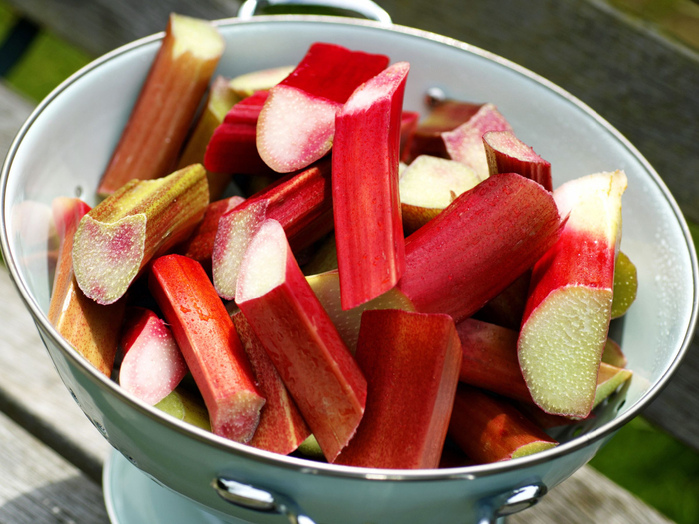 rundown-rhubarb-health-benefits (700x524, 430Kb)