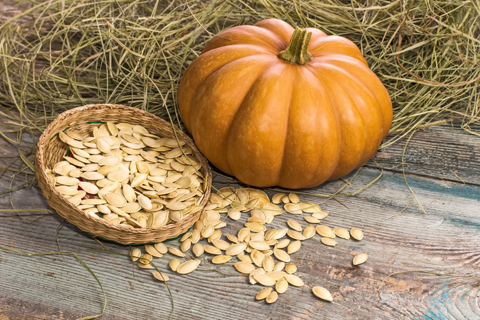 How-to-Save-Pumpkin-Seeds-for-Planting-From-Store-Bought (700x466, 477Kb)