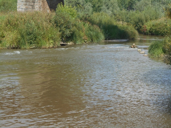 4533467_DSCN4591 (700x524, 171Kb)