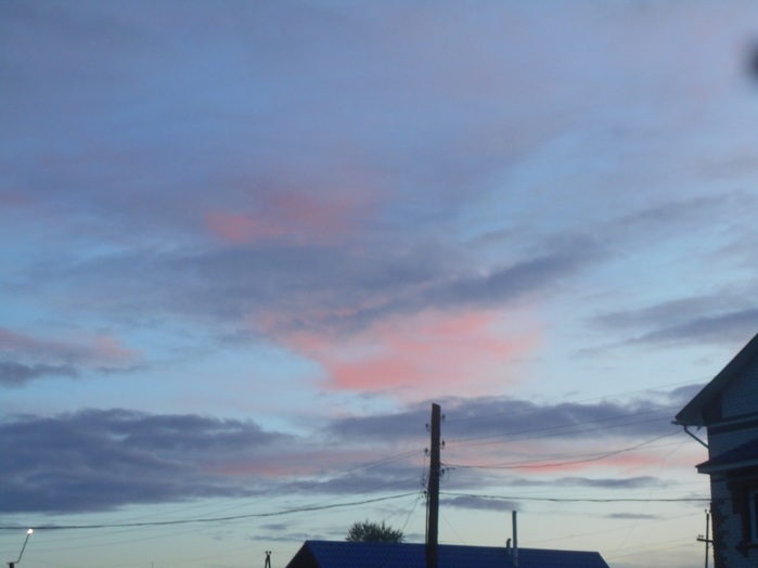 4533467_DSCN4614 (700x524, 54Kb)