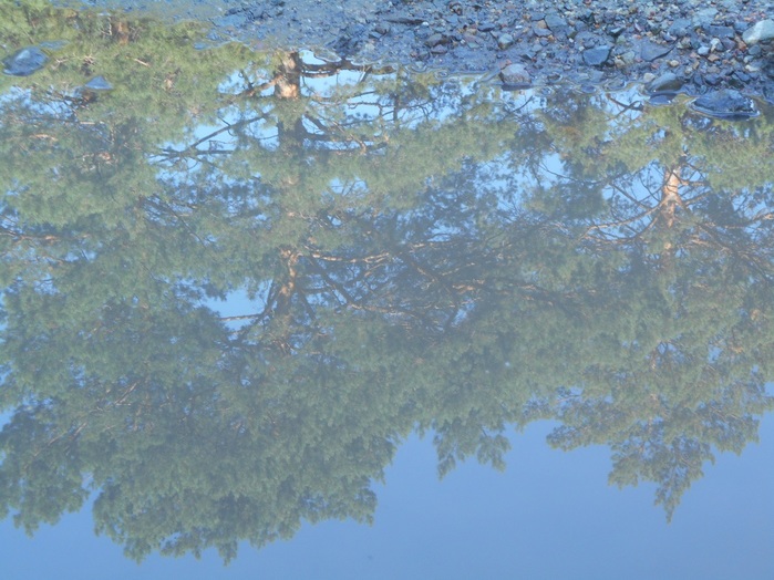 4533467_DSCN4623 (700x524, 140Kb)