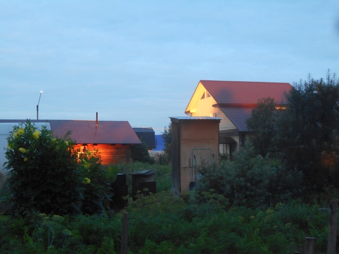 4533467_DSCN4645 (700x524, 78Kb)