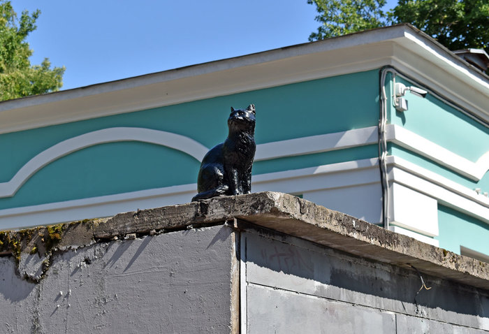 Кот на крыше казань