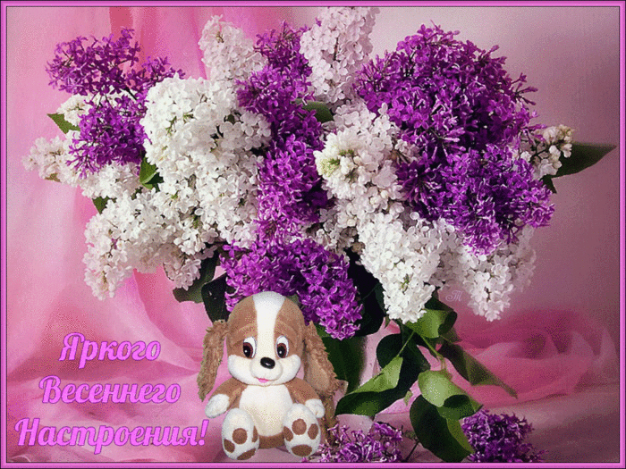 Lilacs-Wallpaper-1024-x-768 (700x525, 598Kb)