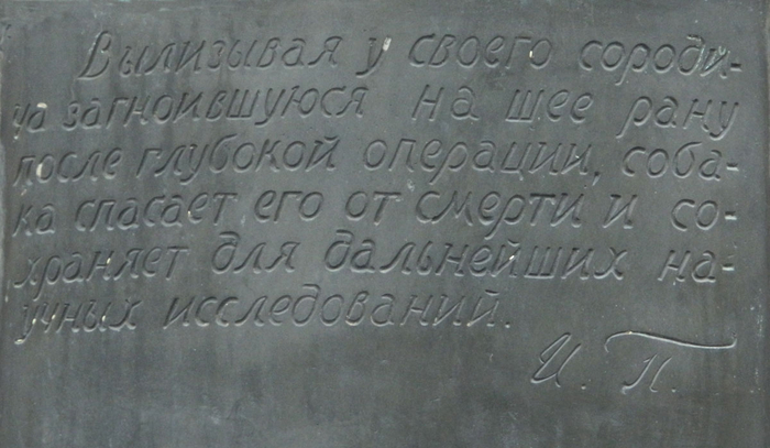 13-мая-2013-120 (700x407, 252Kb)