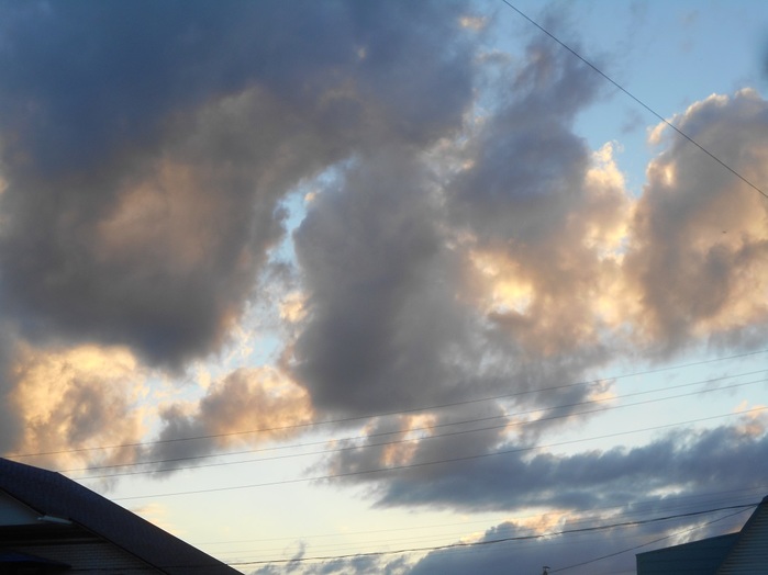 4533467_DSCN4689 (700x524, 69Kb)