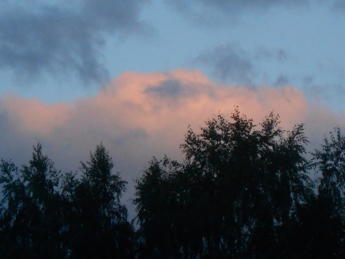 4533467_DSCN4697 (700x524, 92Kb)
