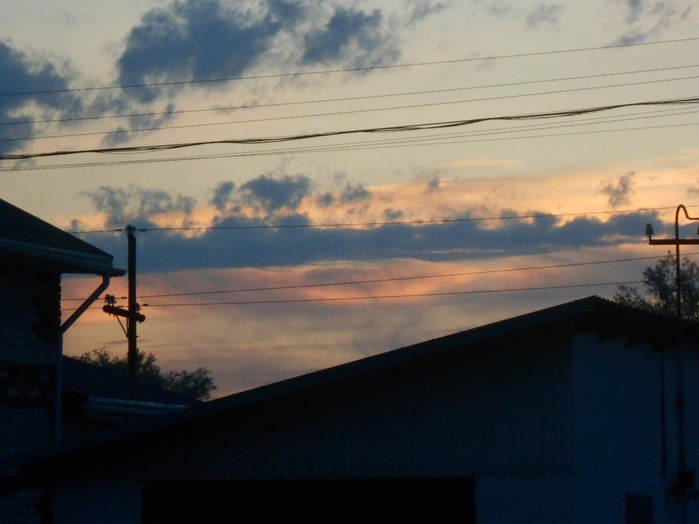 4533467_DSCN4705 (700x524, 84Kb)