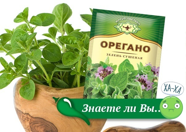 Масло Душицы Орегано Не Эфирное Купить