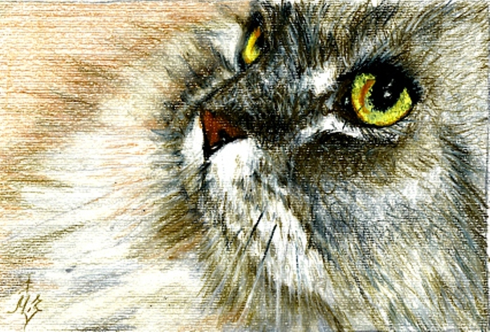  26 (700x474, 254Kb)